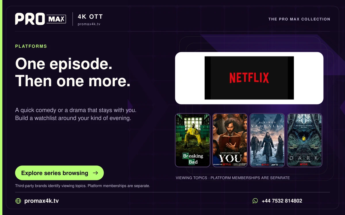 Netflix logo above four supplied series posters in a Pro Max entertainment card.